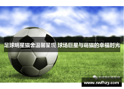 足球明星猫舍温馨呈现 球场巨星与萌猫的幸福时光