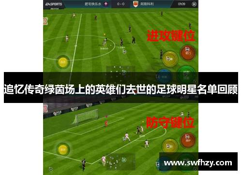 追忆传奇绿茵场上的英雄们去世的足球明星名单回顾