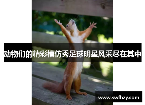 动物们的精彩模仿秀足球明星风采尽在其中