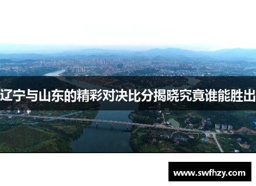 辽宁与山东的精彩对决比分揭晓究竟谁能胜出
